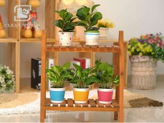 花架如何清潔？花架清潔小妙招